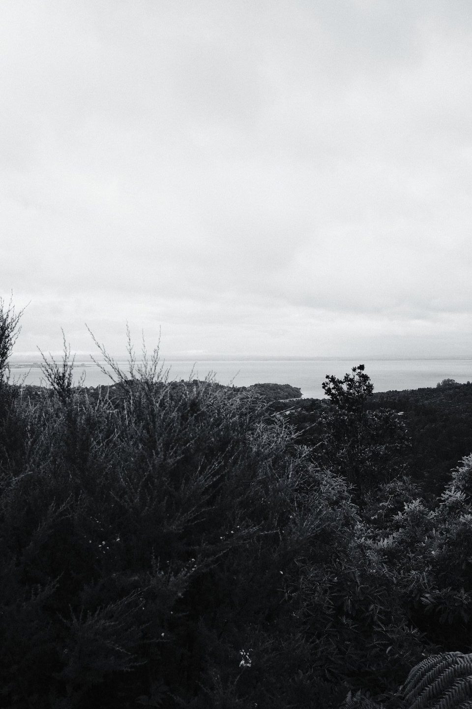 New Zealand seascape